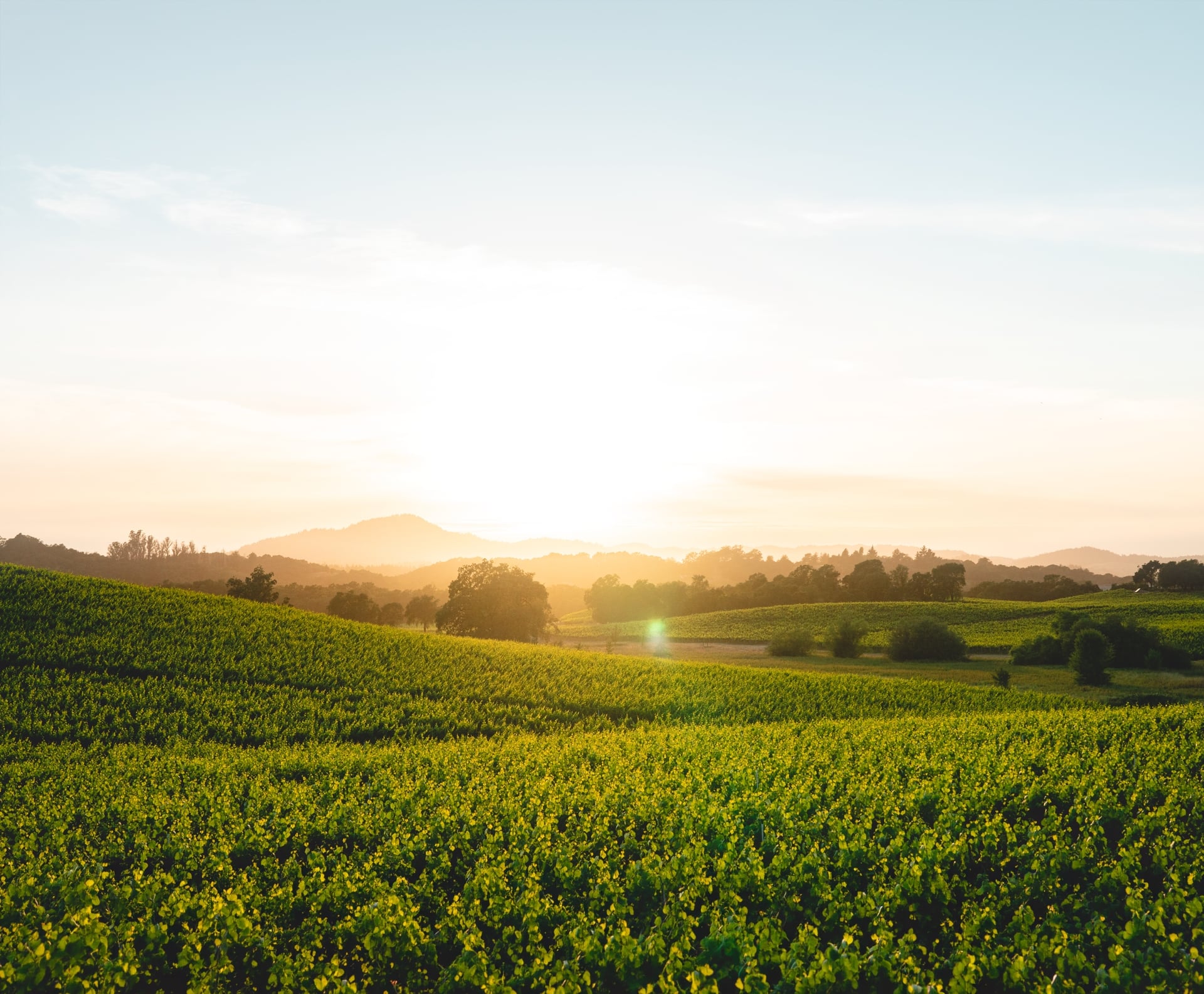 pastoral landscape at sunset