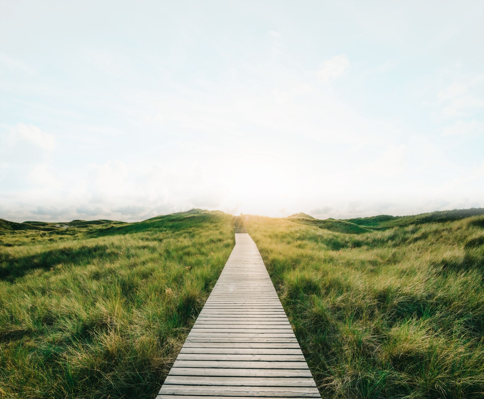 boardwalk on green grasses