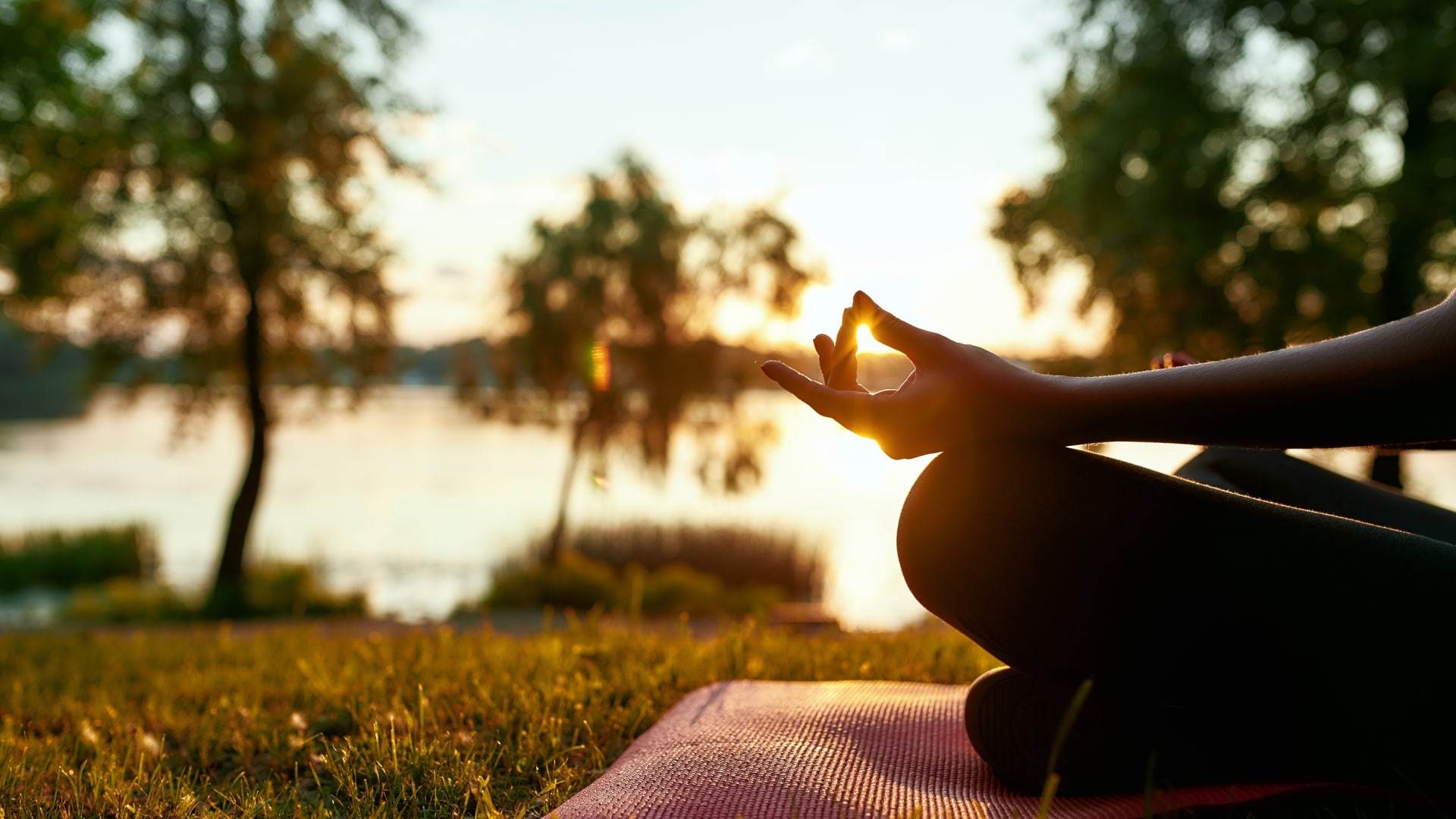sunset shining through seated woman's hand